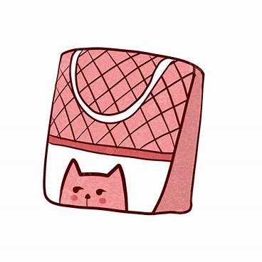 กระเป๋า 100